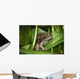 Frog Perches Wapato Leaves Wall Decal