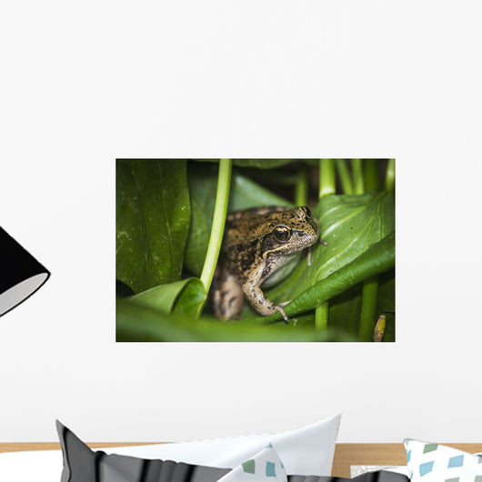 Frog Perches Wapato Leaves Wall Decal