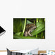 Frog Perches Wapato Leaves Wall Decal