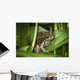 Frog Perches Wapato Leaves Wall Decal