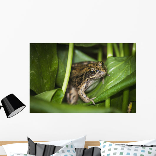 Frog Perches Wapato Leaves Wall Decal