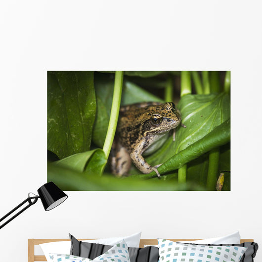 Frog Perches Wapato Leaves Wall Decal