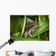 Frog Perches Wapato Leaves Wall Decal