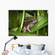 Frog Perches Wapato Leaves Wall Decal