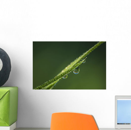 Dew Glistens Grass Wall Decal Design 3