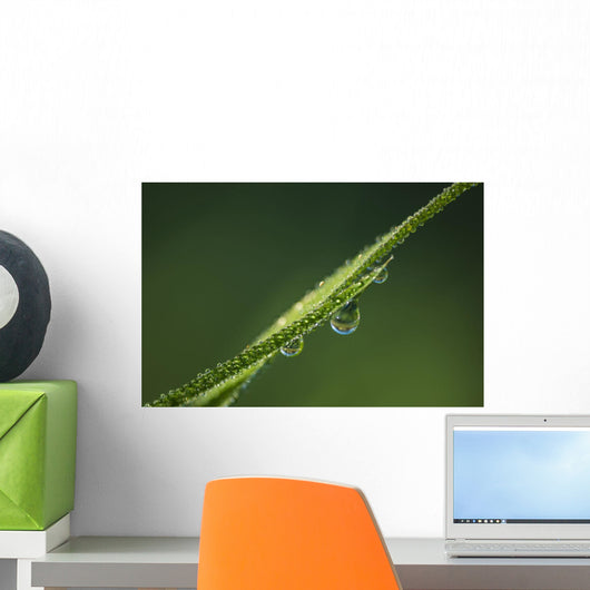 Dew Glistens Grass Wall Decal Design 3
