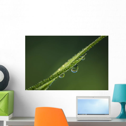 Dew Glistens Grass Wall Decal Design 3