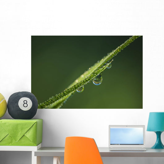 Dew Glistens Grass Wall Decal Design 3
