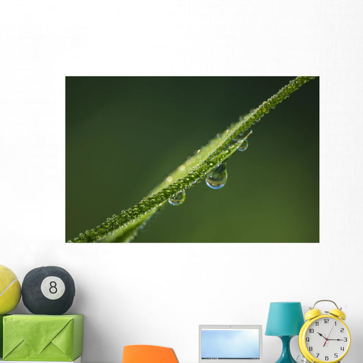 Dew Glistens Grass Wall Decal Design 3