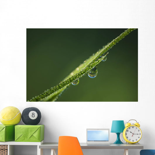 Dew Glistens Grass Wall Decal Design 3