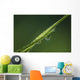 Dew Glistens Grass Wall Decal Design 3