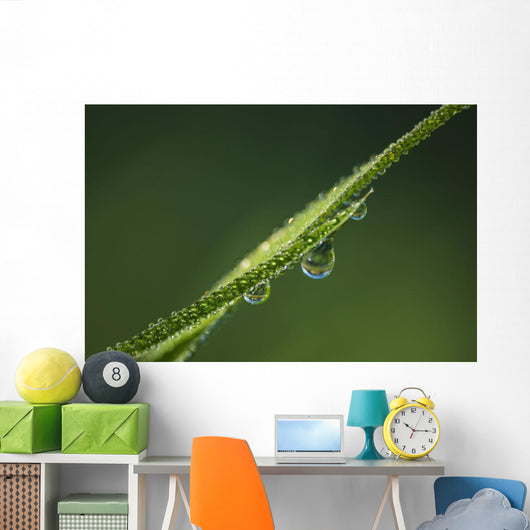 Dew Glistens Grass Wall Decal Design 3