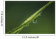 Dew Glistens Grass Wall Decal Design 3