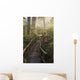 Fog Softens Sunlight Forest Wall Decal