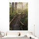 Fog Softens Sunlight Forest Wall Decal