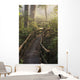 Fog Softens Sunlight Forest Wall Decal