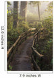 Fog Softens Sunlight Forest Wall Decal