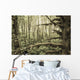 Mossy Tree Trunks Woods Wall Decal