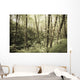 Birch Trees Covered Moss Wall Decal