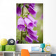 Purple Flowers with Water Wall Decal
