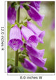 Purple Flowers with Water Wall Decal