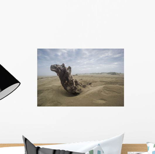 Driftwood amongst Dunes Wall Decal