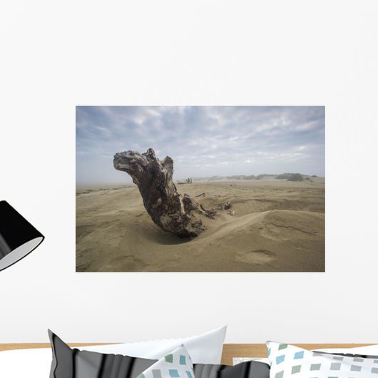 Driftwood amongst Dunes Wall Decal
