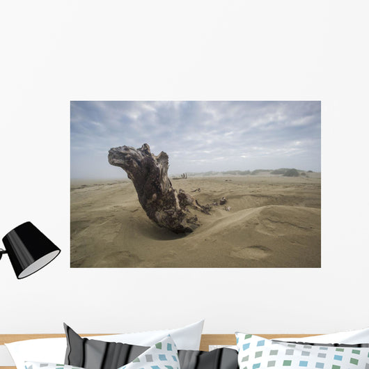 Driftwood amongst Dunes Wall Decal