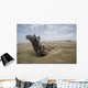 Driftwood amongst Dunes Wall Decal