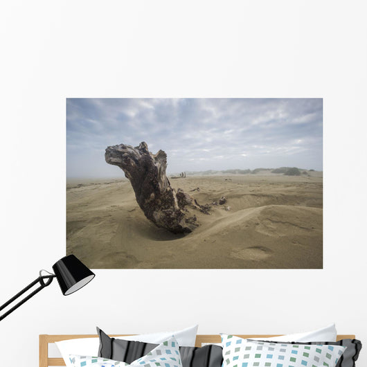 Driftwood amongst Dunes Wall Decal