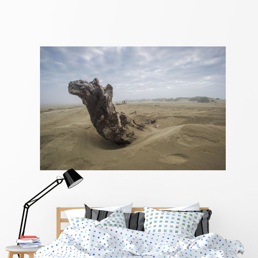 Driftwood amongst Dunes Wall Decal