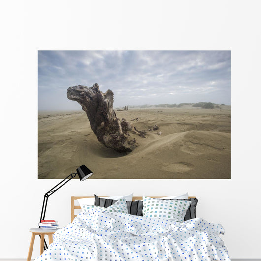 Driftwood amongst Dunes Wall Decal