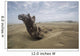 Driftwood amongst Dunes Wall Decal