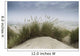 Dune Grass along Oregon Wall Decal