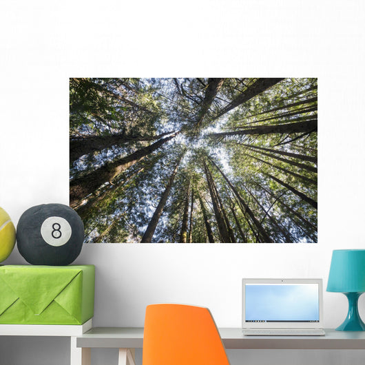 Towering Treetops Wall Decal