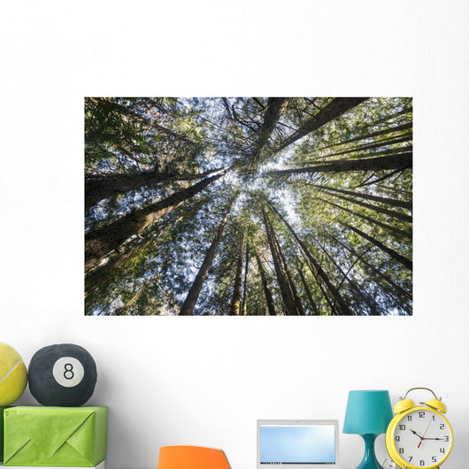 Towering Treetops Wall Decal