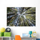 Towering Treetops Wall Decal