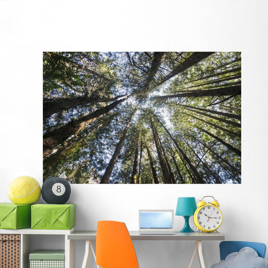 Towering Treetops Wall Decal