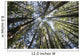 Towering Treetops Wall Decal