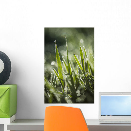 Dew Glistens Grass Wall Decal Design 2