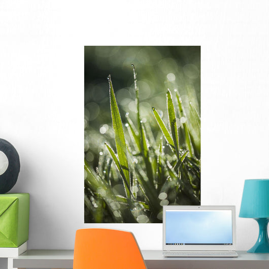 Dew Glistens Grass Wall Decal Design 2