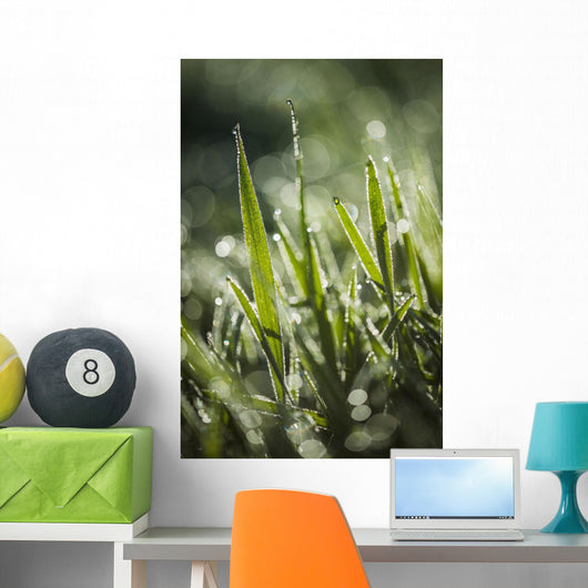 Dew Glistens Grass Wall Decal Design 2