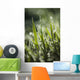 Dew Glistens Grass Wall Decal Design 2