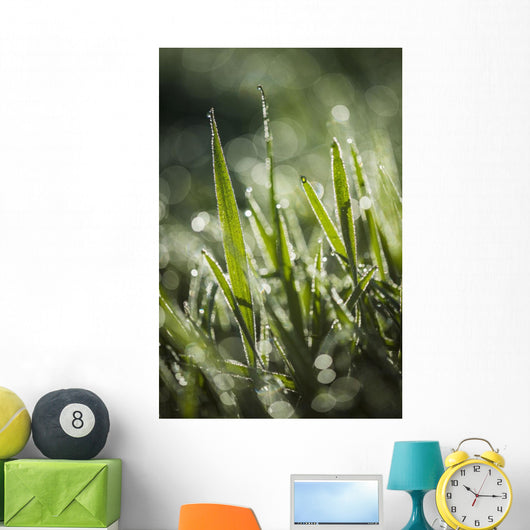 Dew Glistens Grass Wall Decal Design 2