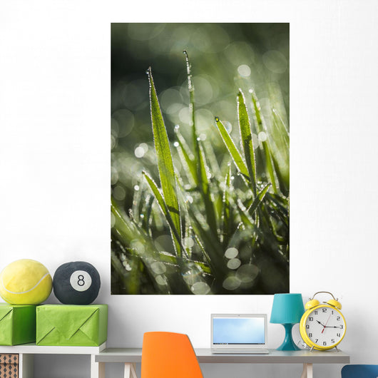 Dew Glistens Grass Wall Decal Design 2