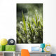Dew Glistens Grass Wall Decal Design 2