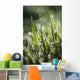 Dew Glistens Grass Wall Decal Design 2