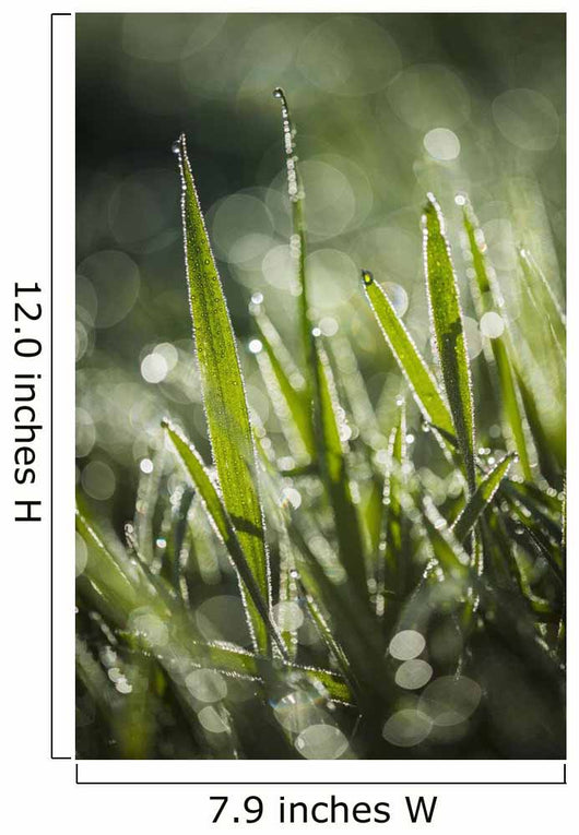 Dew Glistens Grass Wall Decal Design 2