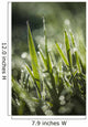 Dew Glistens Grass Wall Decal Design 2