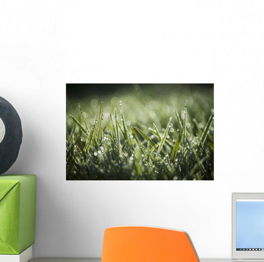 Dew Glistens Grass Wall Decal Design 1